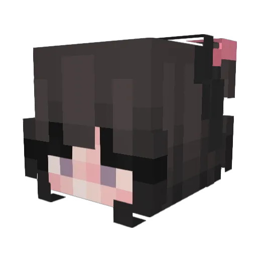 ProbablyPandr Minecraft avatar head, 3D render