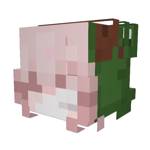 ProbablyPoe Minecraft avatar head, 3D render