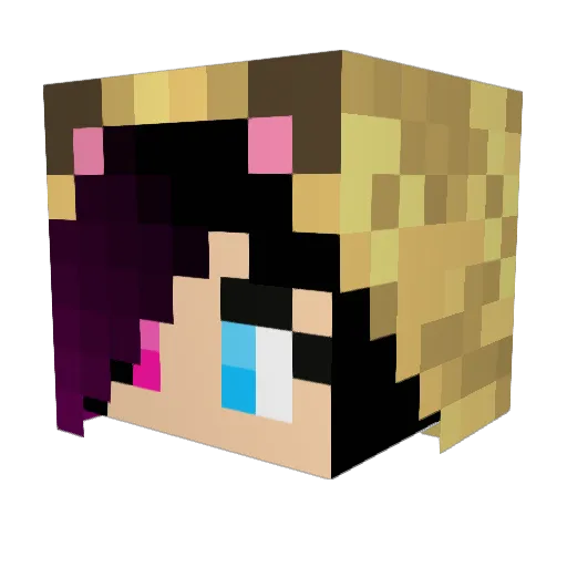 Probably_A_Cat Minecraft avatar head, 3D render
