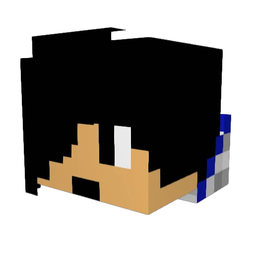 Probably_Nad Minecraft avatar head, 3D render