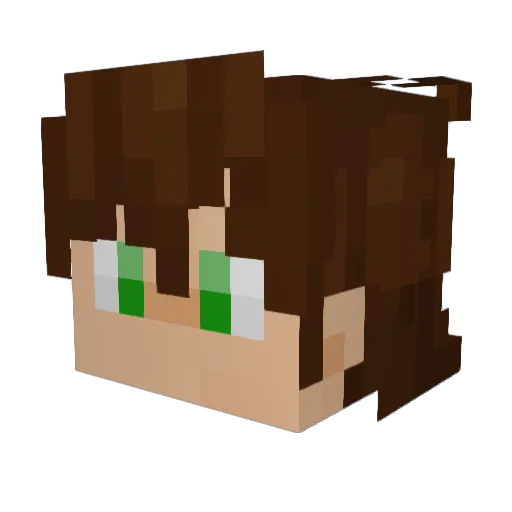 ProbablyaLich Minecraft avatar head, 3D render