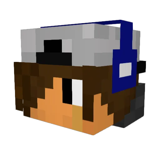 Problaster1111 Minecraft avatar head, 3D render