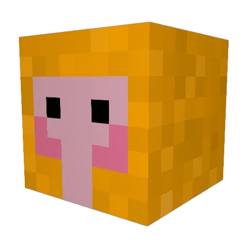 ProboscisMonk Minecraft avatar head, 3D render