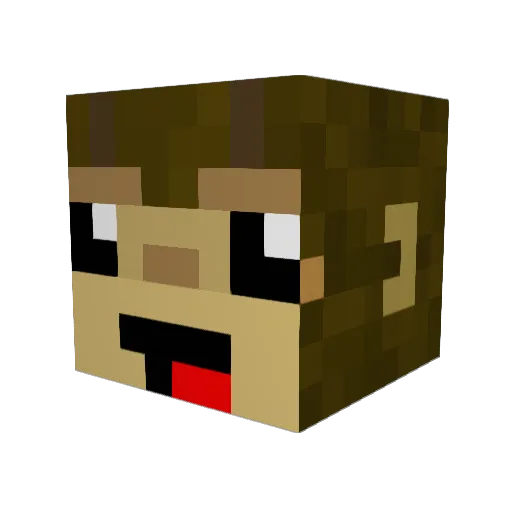 Probuilder858585 Minecraft avatar head, 3D render