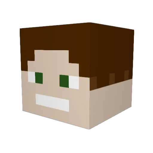 Procat13_ Minecraft avatar head, 3D render