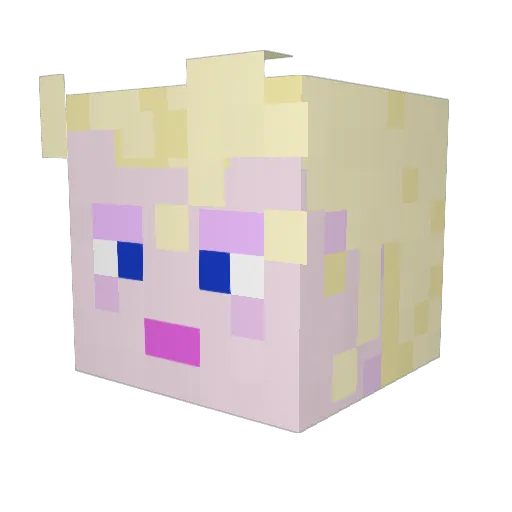 Procellifer Minecraft avatar head, 3D render