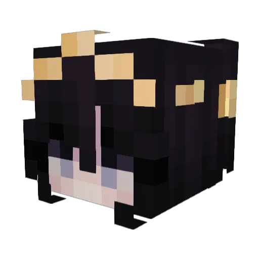 Procka Minecraft avatar head, 3D render