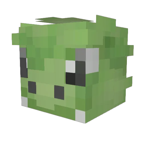 ProctalgiaFugax Minecraft avatar head, 3D render
