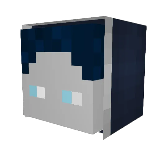 Proctise276 Minecraft avatar head, 3D render