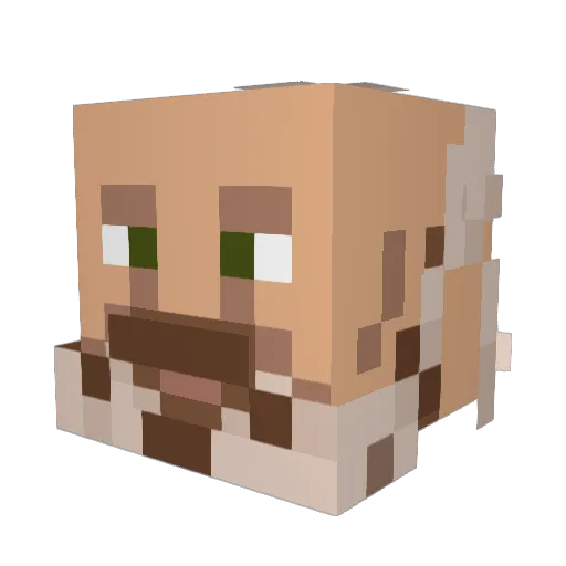 Prodigal_1 Minecraft avatar head, 3D render