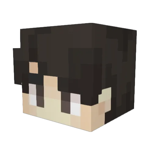 Prodigalize Minecraft avatar head, 3D render