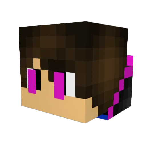 Prodigy2007 Minecraft avatar head, 3D render