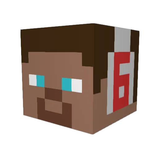 ProdigySteve Minecraft avatar head, 3D render