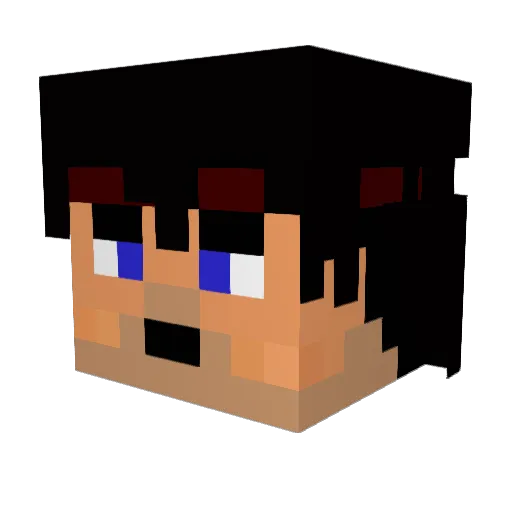 Prof2cite Minecraft avatar head, 3D render