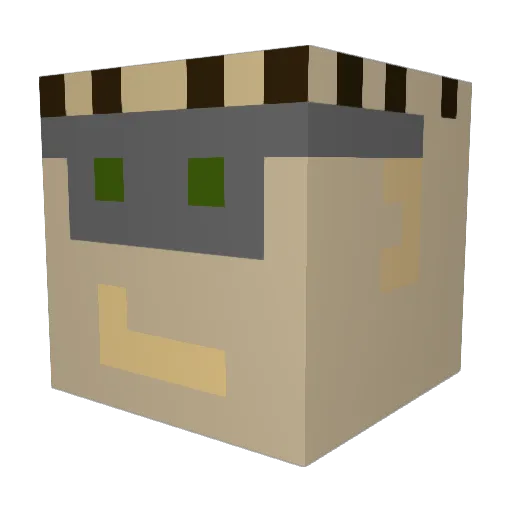 Prof5asquatch Minecraft avatar head, 3D render