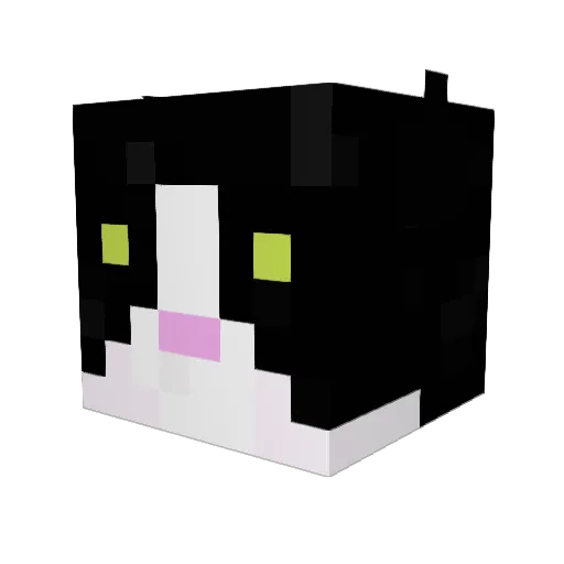 ProfMeowingtons Minecraft avatar head, 3D render
