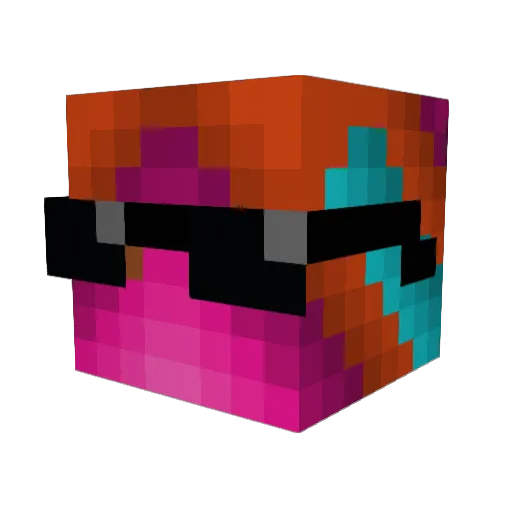 ProfSeal57 Minecraft avatar head, 3D render