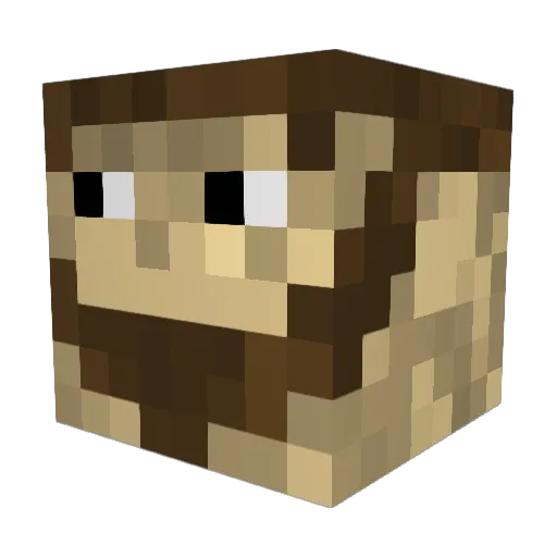 ProfTobi Minecraft avatar head, 3D render