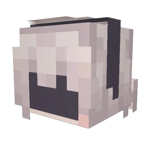 Prof_Aconic Minecraft avatar head, 3D render