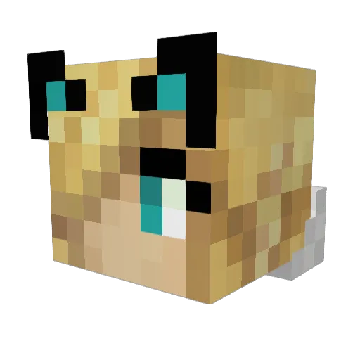 Prof_Paradox Minecraft avatar head, 3D render