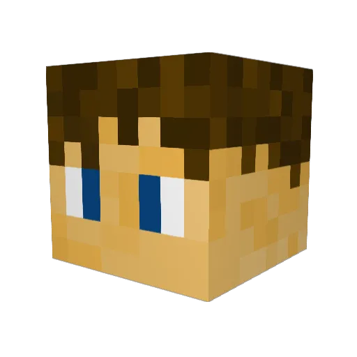 ProfanityGuy Minecraft avatar head, 3D render
