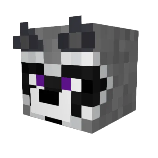 ProfeMapashe Minecraft avatar head, 3D render