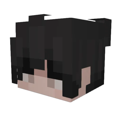 ProfesserMobMan Minecraft avatar head, 3D render