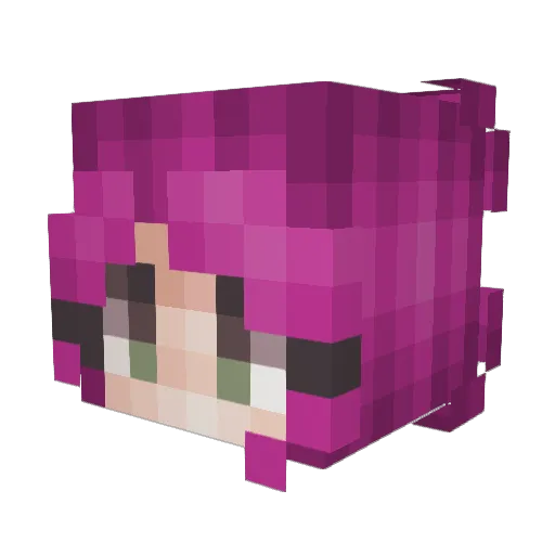 Professional_Gay Minecraft avatar head, 3D render