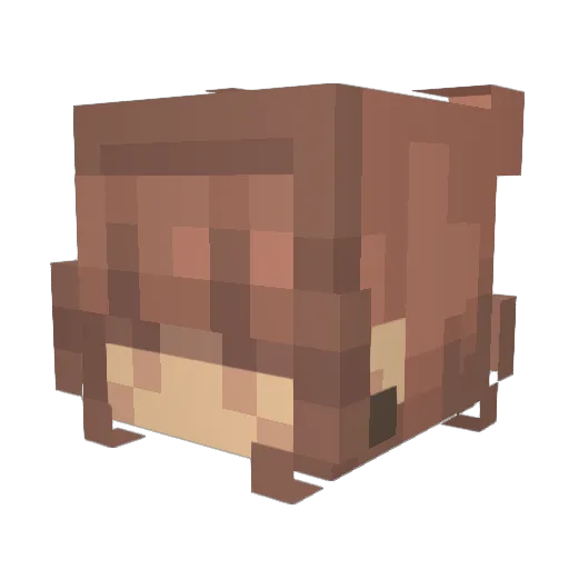 ProfessorCrunchy Minecraft avatar head, 3D render