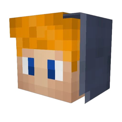 ProfessorDuckk Minecraft avatar head, 3D render