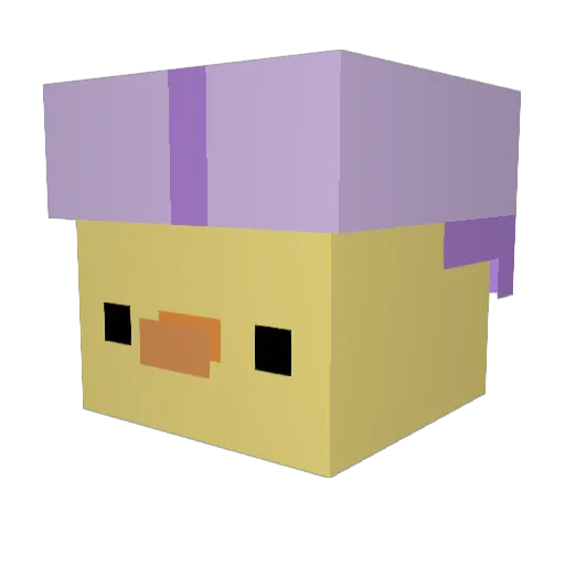 ProfessorDucky_ Minecraft avatar head, 3D render