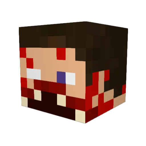ProfessorPickle3 Minecraft avatar head, 3D render