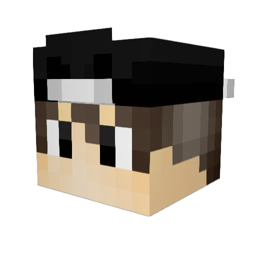 ProfessorXD Minecraft avatar head, 3D render