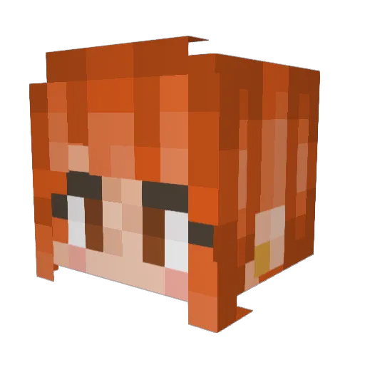 ProfessorZoom54 Minecraft avatar head, 3D render
