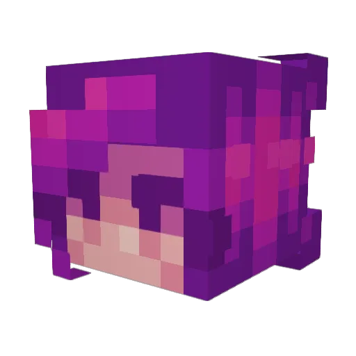 Professor_Bunny Minecraft avatar head, 3D render