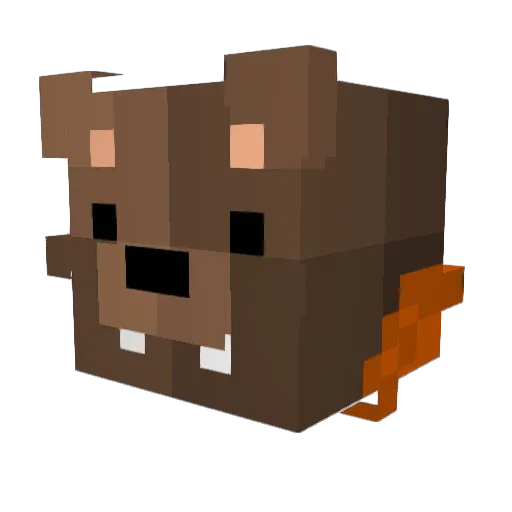Professor_Rice Minecraft avatar head, 3D render