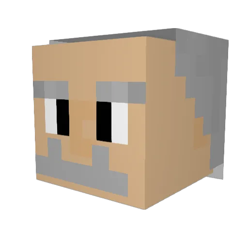 Professorn1234 Minecraft avatar head, 3D render