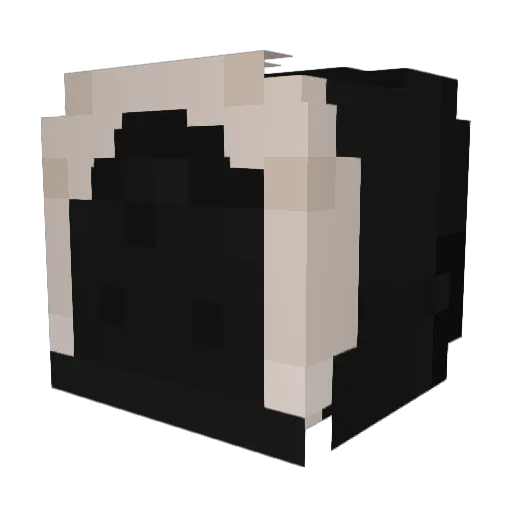 ProffesorJunko Minecraft avatar head, 3D render