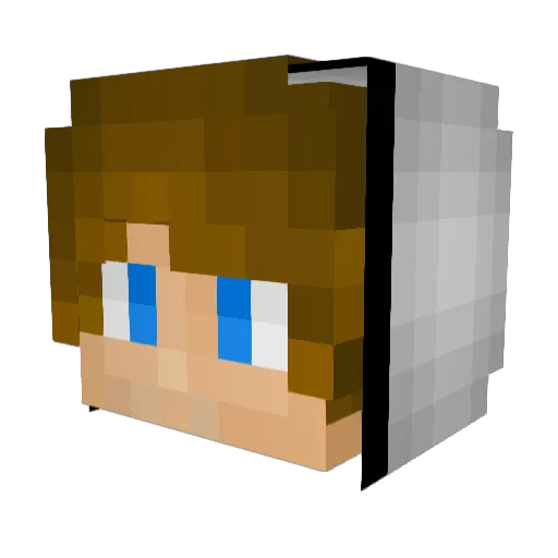 Profiminecrafter Minecraft avatar head, 3D render