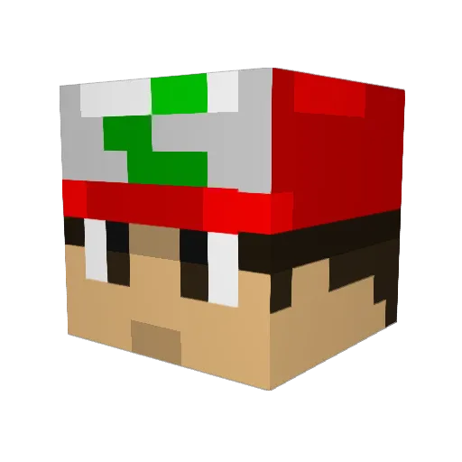 Profish3000 Minecraft avatar head, 3D render