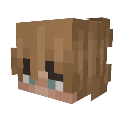 Profit9780 Minecraft avatar head, 3D render