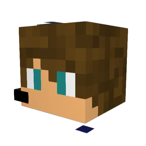 ProgTrade Minecraft avatar head, 3D render