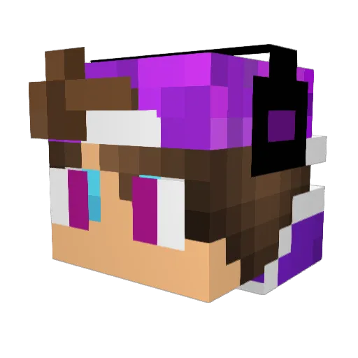 ProgamerHS5 Minecraft avatar head, 3D render