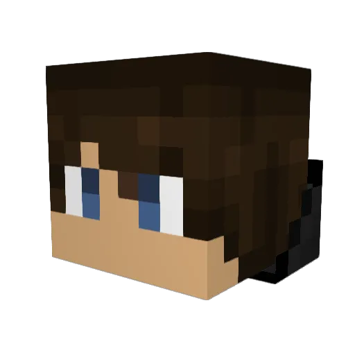 ProgamerX9 Minecraft avatar head, 3D render