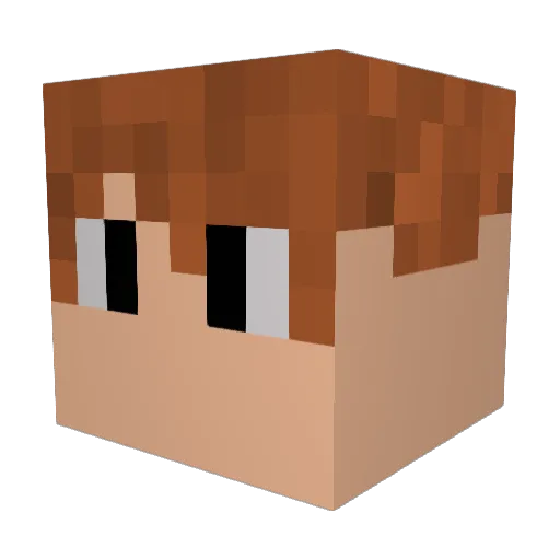 Progamer_hd16 Minecraft avatar head, 3D render