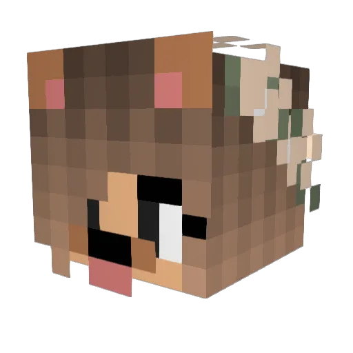ProgramAnula Minecraft avatar head, 3D render