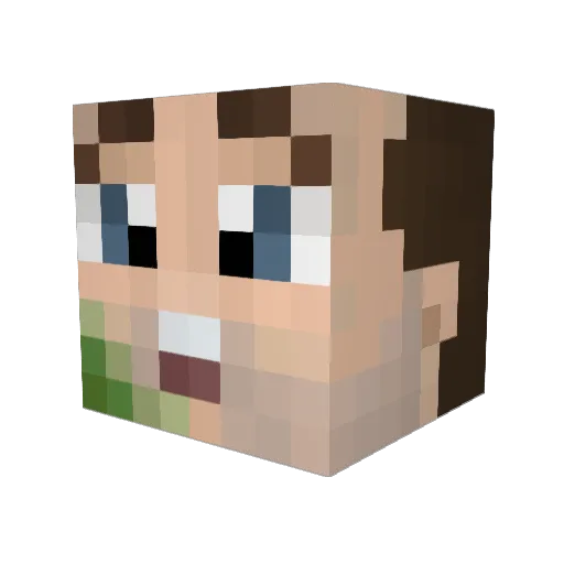 ProgramHedgehog Minecraft avatar head, 3D render