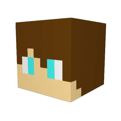ProgramerGamer Minecraft avatar head, 3D render