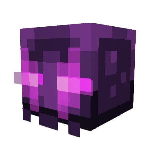 Prohunter6000 Minecraft avatar head, 3D render