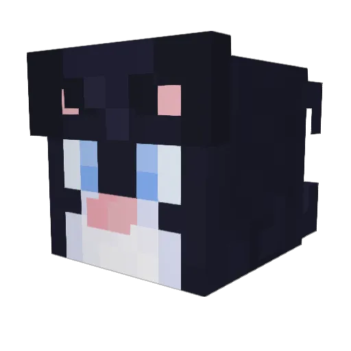 ProjectTaycat Minecraft avatar head, 3D render